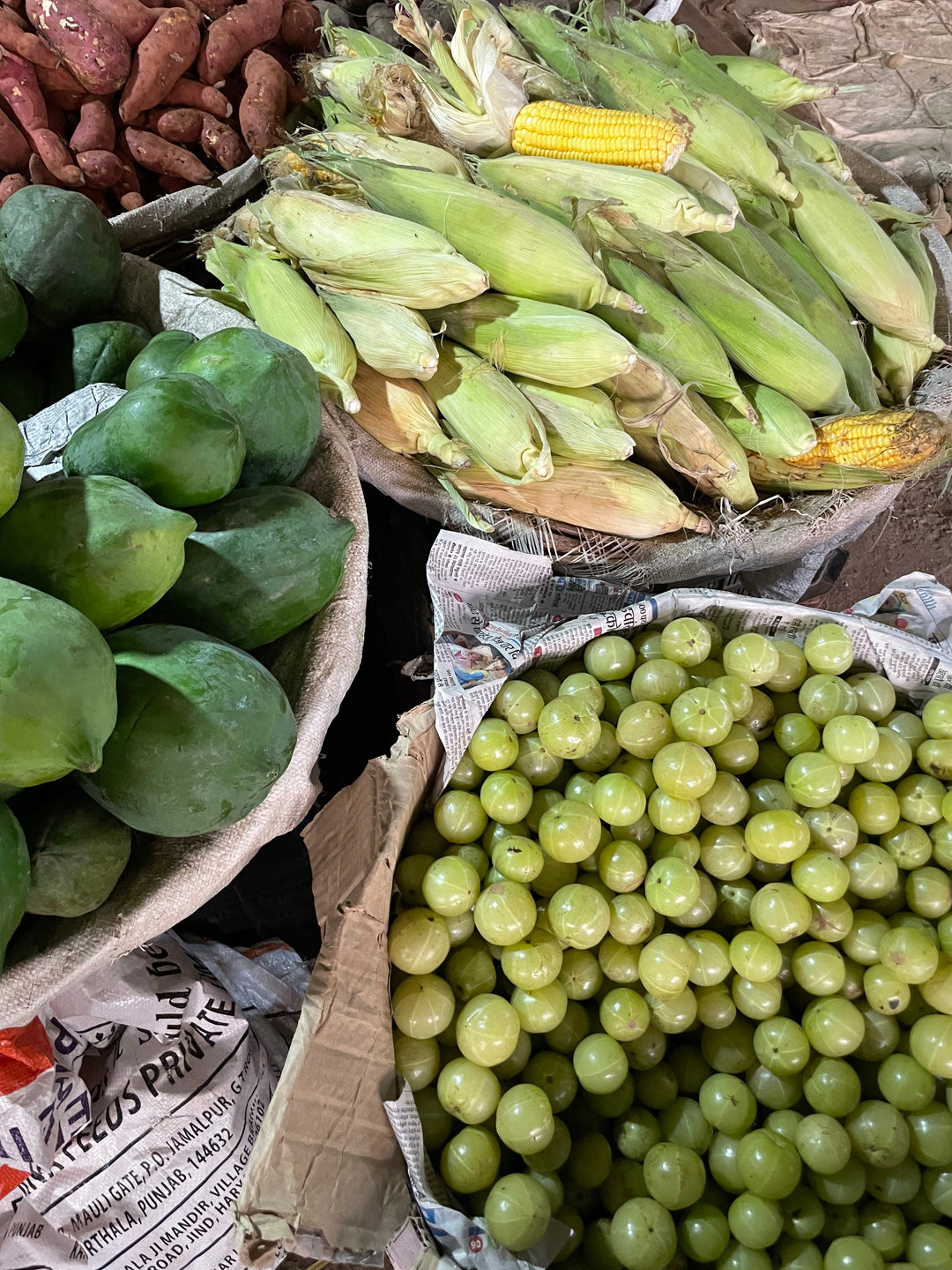 The flower and fruit markets of New Delhi
